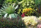 Environaplanting-garden-and-landscape-design-24.jpg; ?>