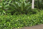 Environaplanting-garden-and-landscape-design-45.jpg; ?>
